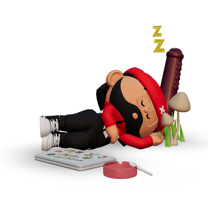 Donnie asleep beside his laptop, ashtray and Amsterdam props