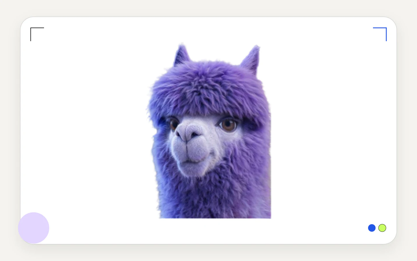 The purple monday.com Llama