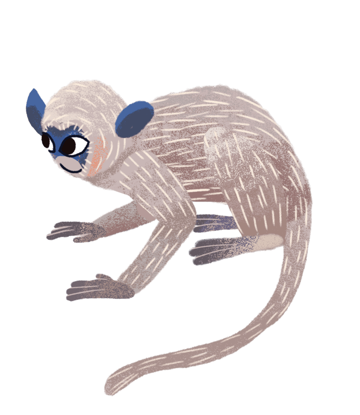 Apprenance — monkey